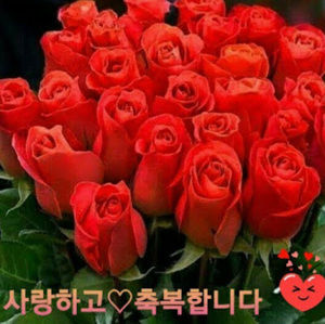 Meet your Posher, In